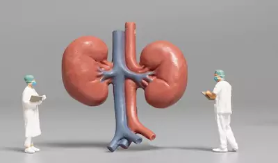 DM Nephrology